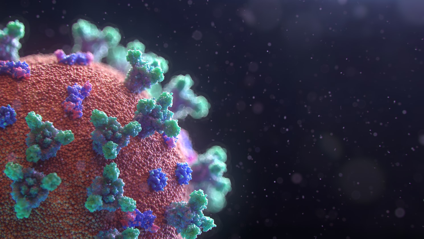 Necesitamos datos reales para diseñar la estrategia contra el coronavirus… y no los tenemos