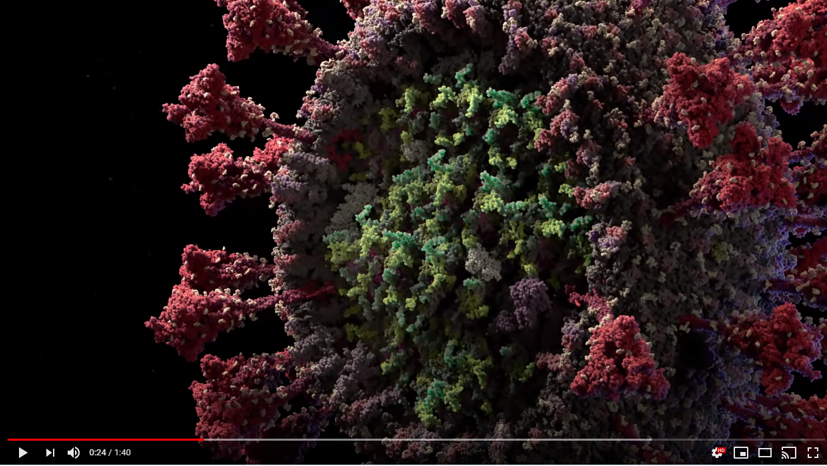 El SARS-CoV-2 como nunca lo había visto: </br>en vídeo 3D con resolución atómica, y su código genético