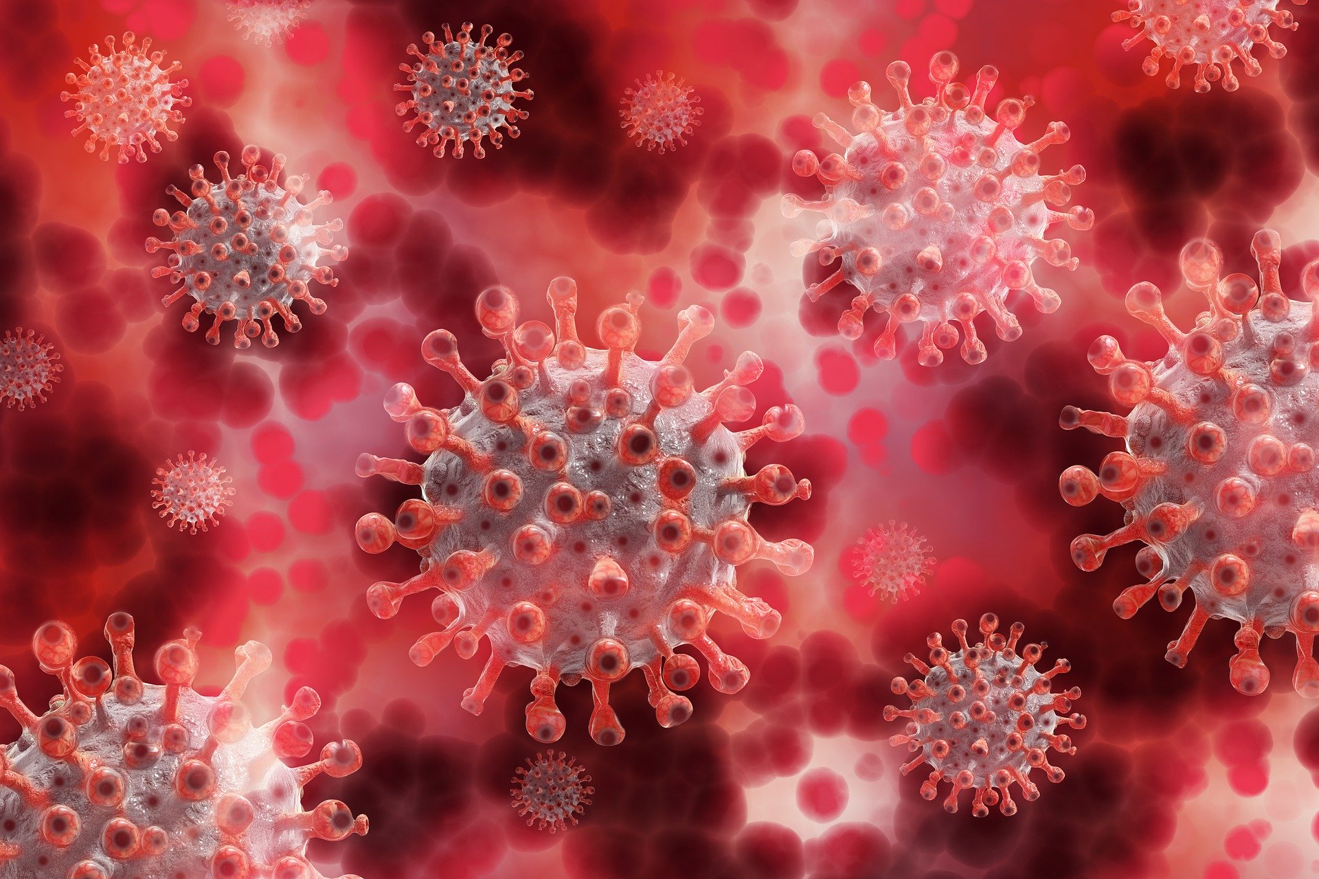 Porque una buena información ayuda a salvar vidas… ¿Qué sabe la ciencia de cómo contagia el coronavirus?(1)