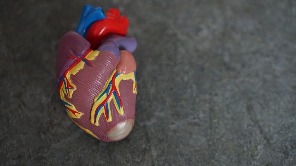 ¿Qué es un aneurisma de aorta abdominal? ¿Se puede tratar?