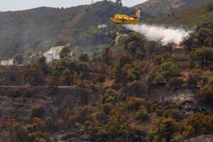 Los incendios forestales provocan sobre la población general irritación ocular y goteo nasal