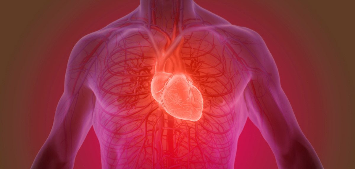 Soplos cardiacos: Qué son, tipos y síntomas