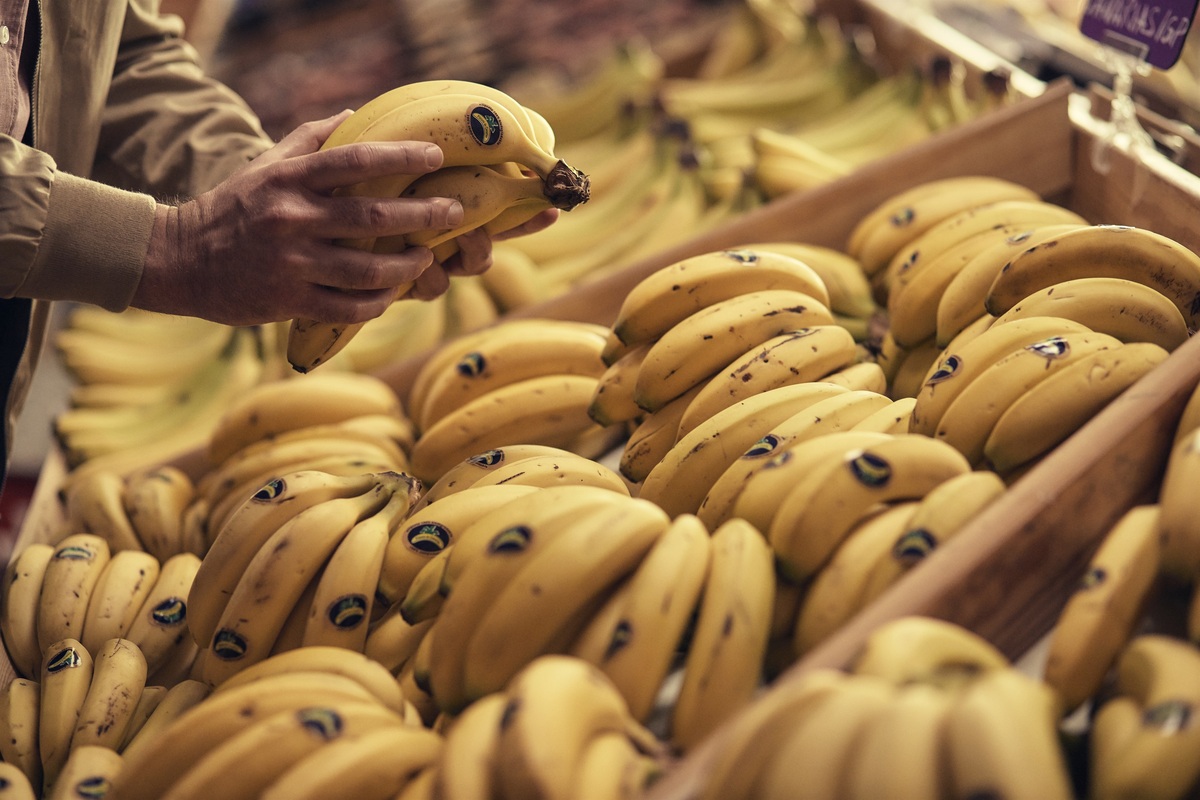 Plátanos del volcán de La Palma ¿Tienen más propiedades nutricionales?